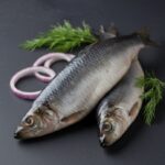 Sleď mírně slaný, 1000 g