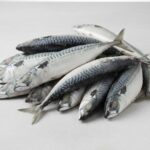 Makrela atlantická – Celá, zmrazená, 1000 g
