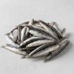 Evropská sardel (Sardela) – Mražená, 1000 g